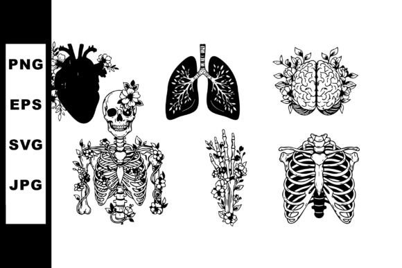 Anatomical Heart Lungs Brain Silhouette Review
